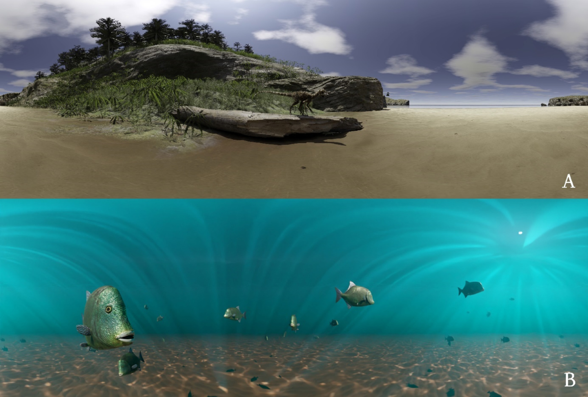 The Paleontological Heritage as a Mean for Territorial Revitalization:  Innovative Communication Modalities for Pietraroja Site (Southern Italy) |  Geoheritage, image size:1200x810