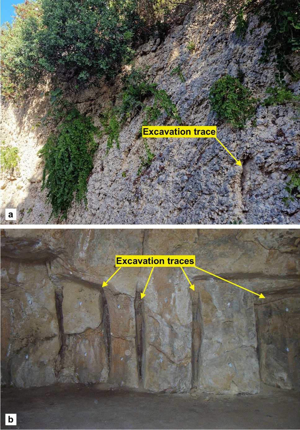 Assemini Dintorni, image size:967x1385