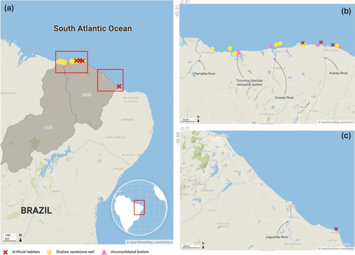 Lionfish on the Plate: Measures to Control the Species Invasion Result in  Human Health Risks | Exposure and Health