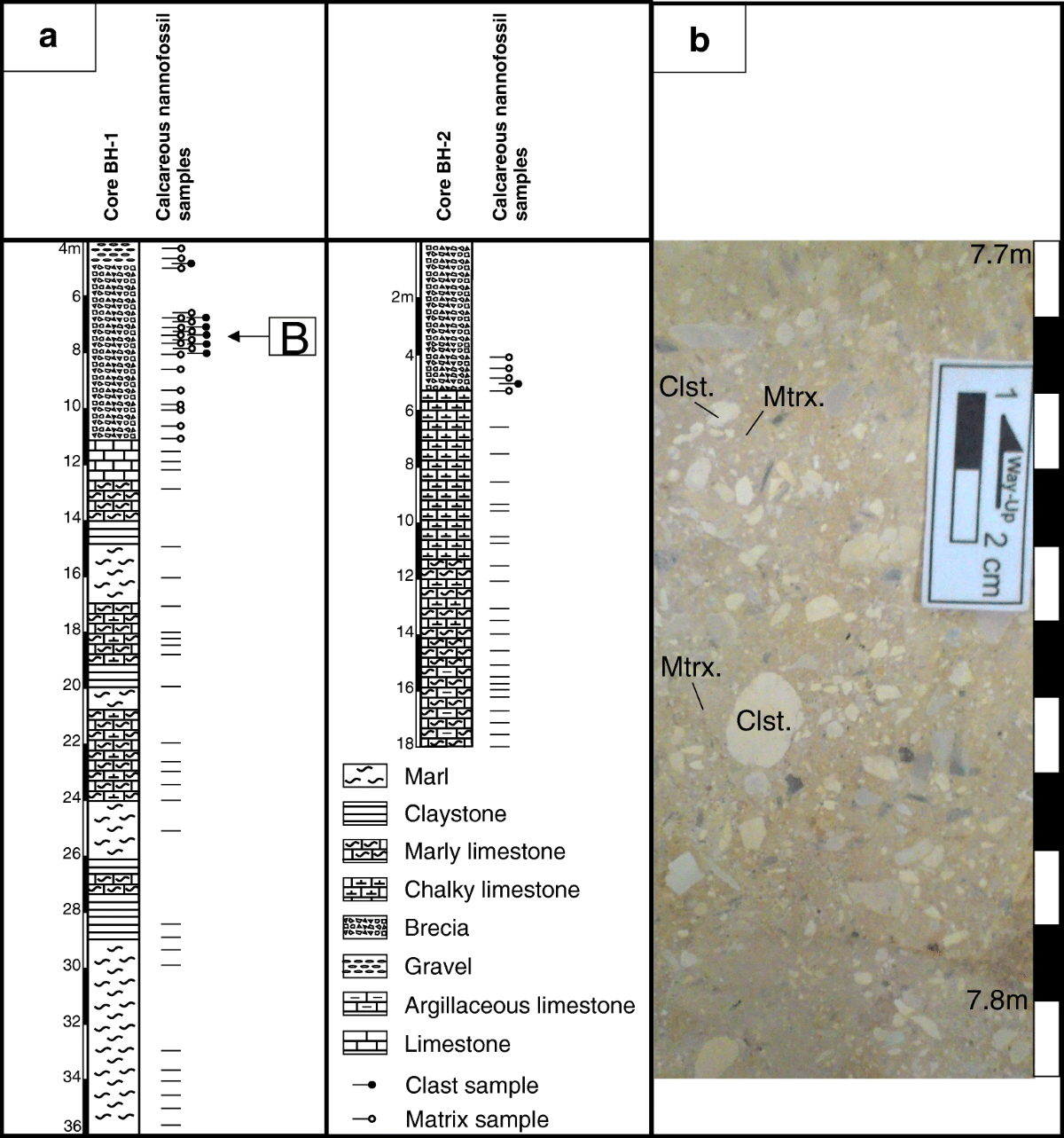 A story told by calcareous nannofossils—the timing and course of an Eocene  meteorite impact in central Jordan | Arabian Journal of Geosciences