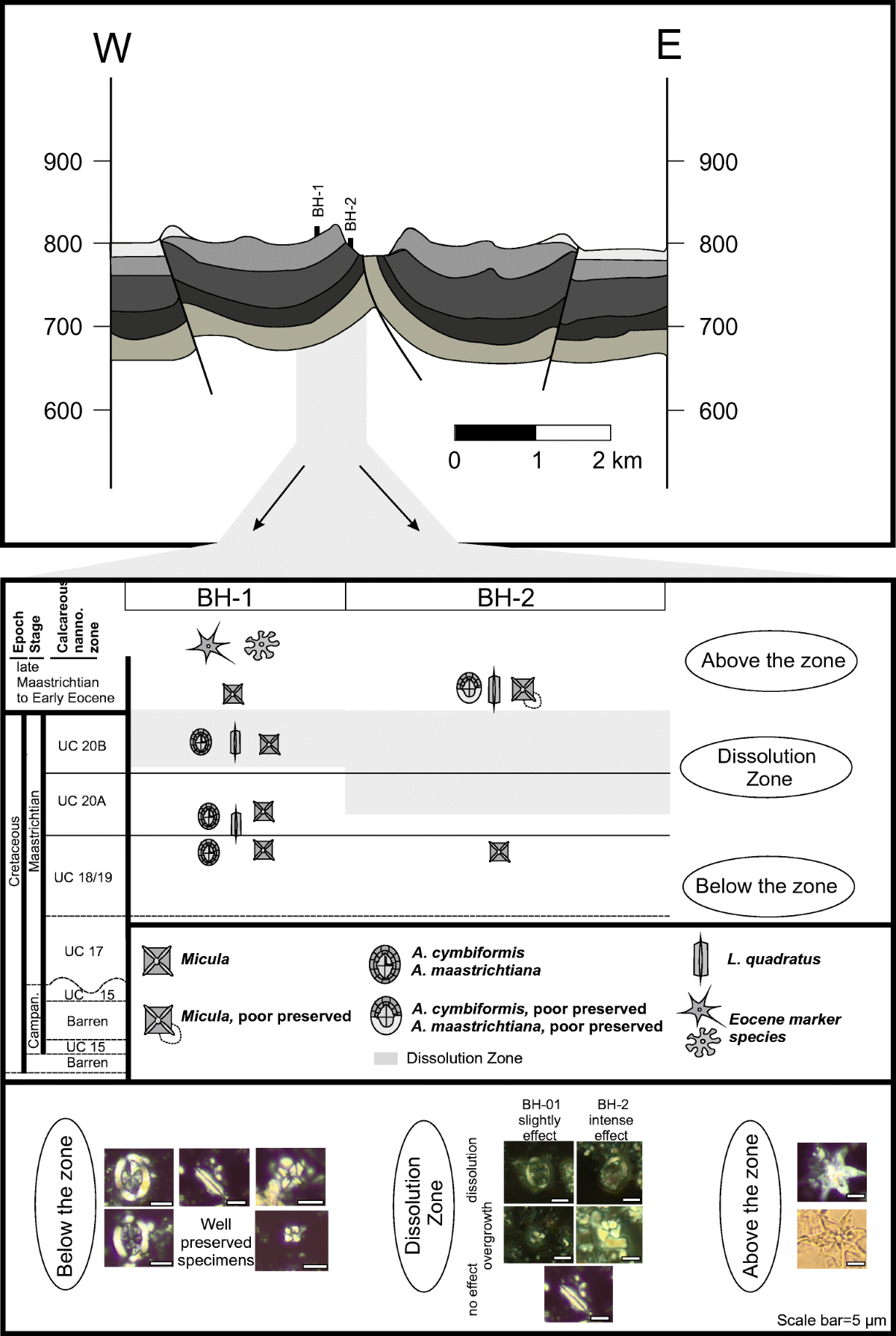 A story told by calcareous nannofossils—the timing and course of an Eocene  meteorite impact in central Jordan | Arabian Journal of Geosciences