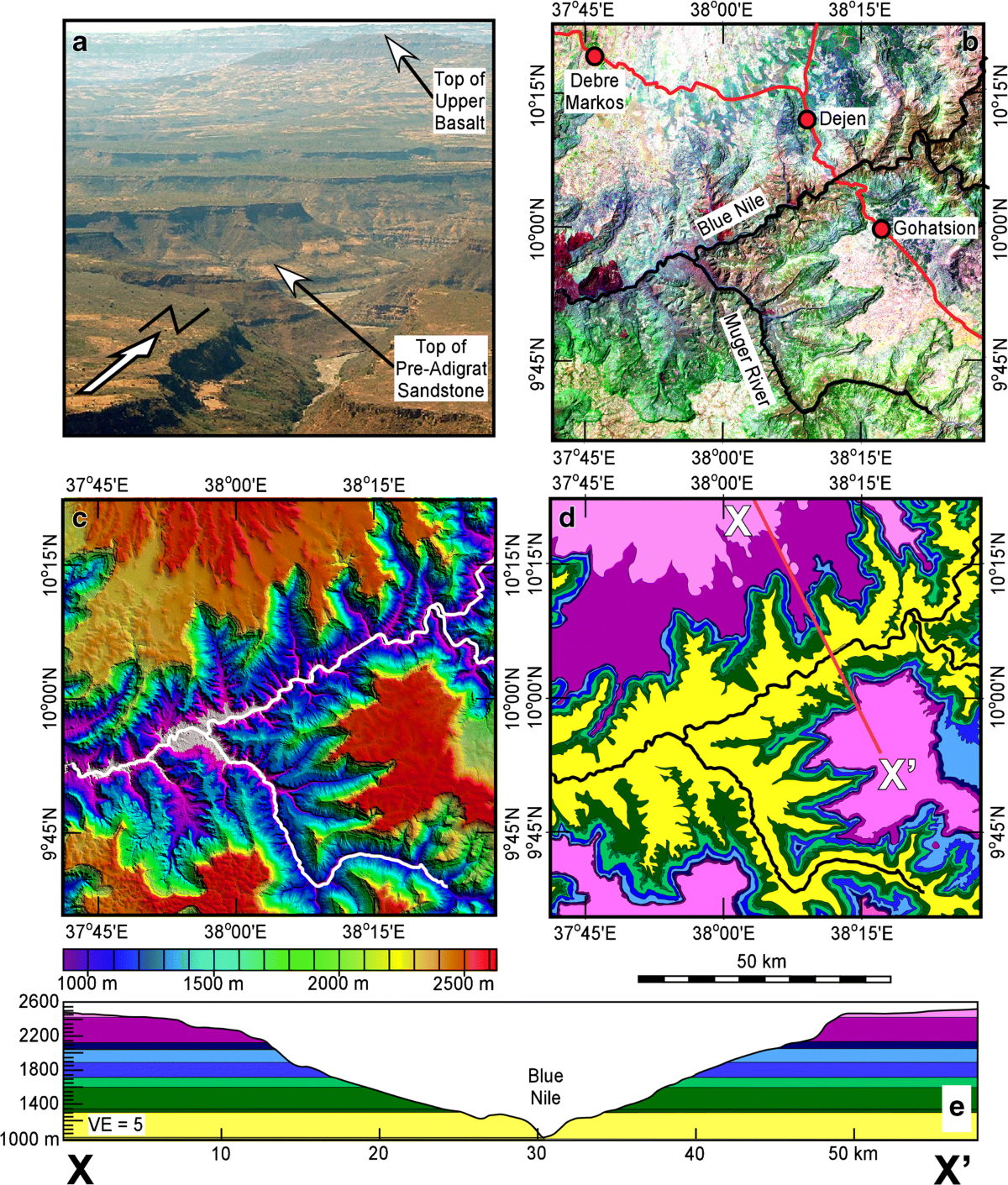 Untitled, image size:1200x1411