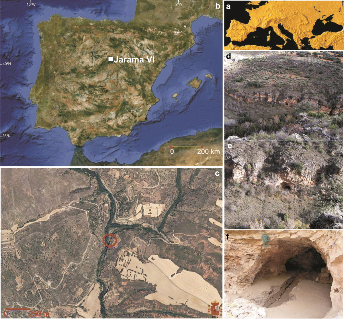 Last Neanderthal occupations at Central Iberia: the lithic industry of  Jarama VI rock shelter (Valdesotos, Guadalajara, Spain) | Archaeological  and Anthropological Sciences