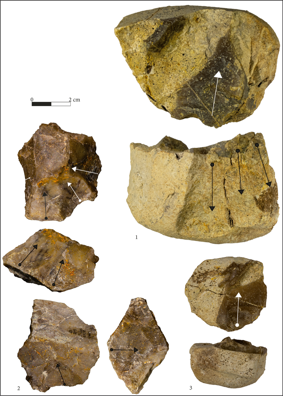 Brief interviews with hideous stone: a glimpse into the butchery site of  Isernia La Pineta — a combined technological and use-wear approach on the  lithic tools to evaluate the function of a