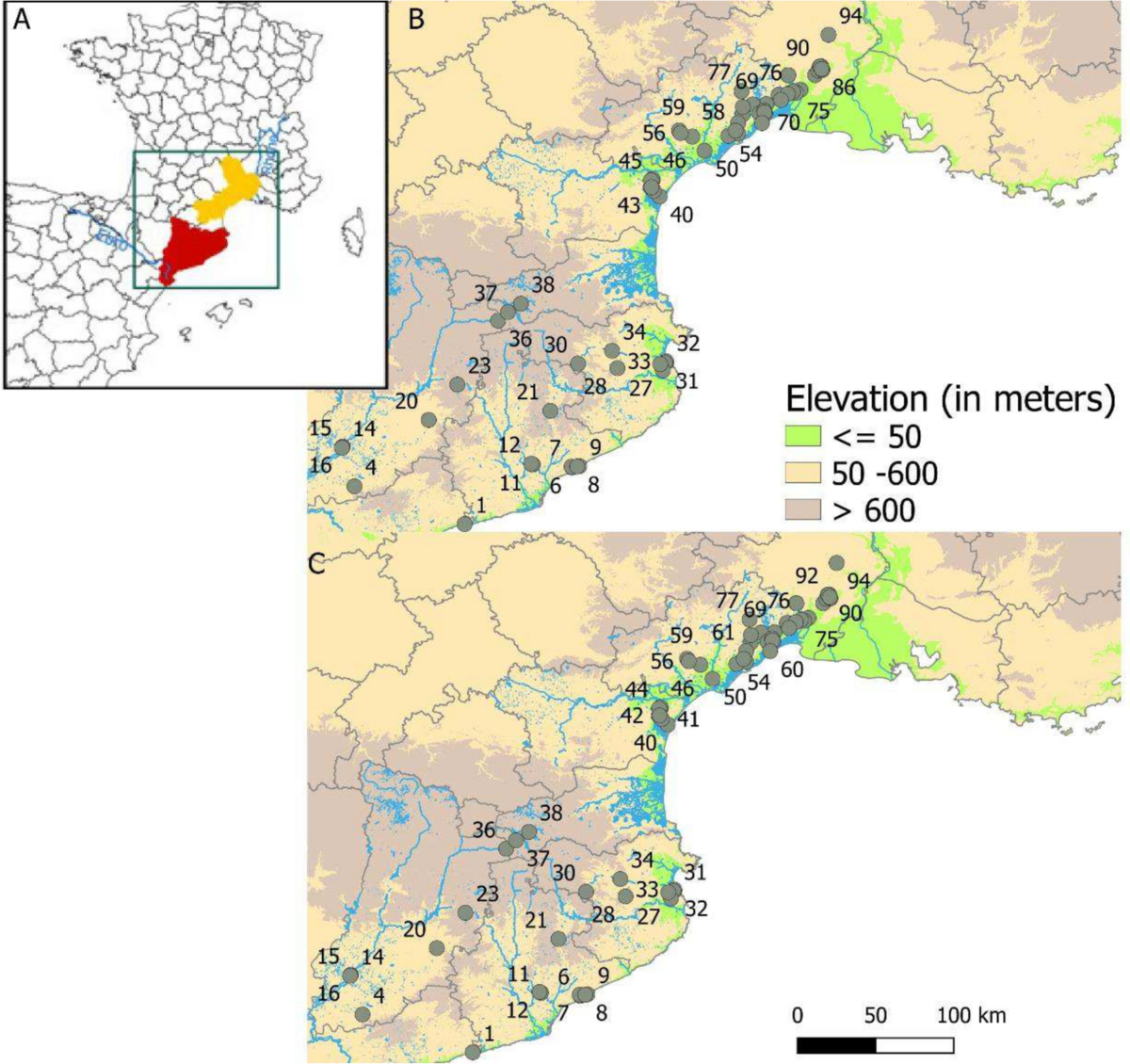 Tracking kelp-type seaweed fuel in the archaeological record through Raman  spectroscopy of charred particles: examples from the Atacama Desert coast |  Archaeological and Anthropological Sciences, image size:1200x1130