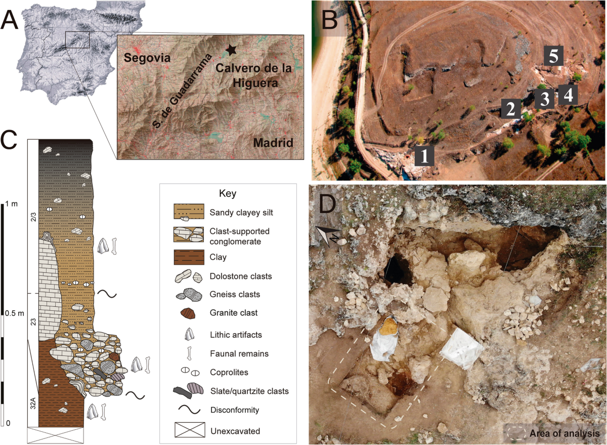 Mixed sites: assessing carnivore, Neanderthal, and abiotic agency at Buena  Pinta Cave (Pinilla del Valle, Madrid, Spain) | Archaeological and  Anthropological Sciences | Springer Nature Link