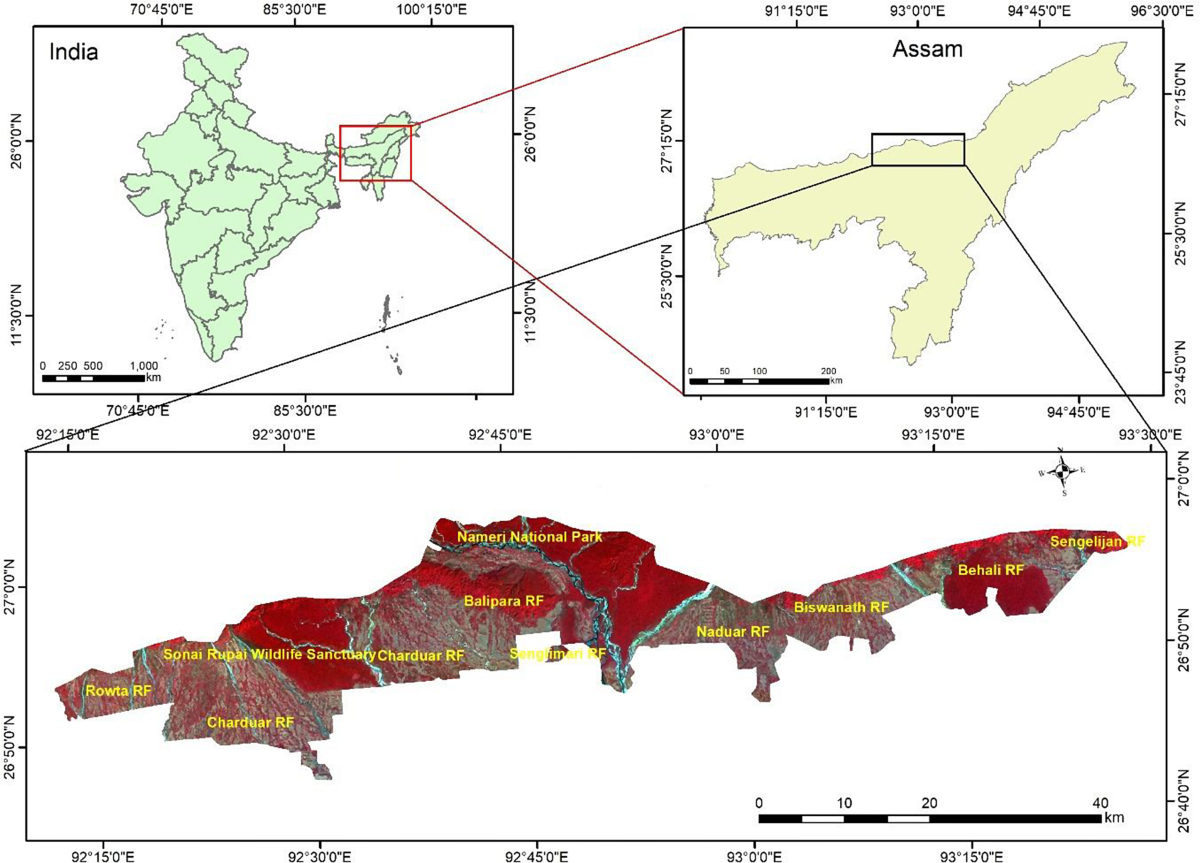 Harnessing Time-Series Satellite Data and Deep Learning to Monitor  Historical Patterns of Deforestation in Eastern Himalayan Foothills of  India | Journal of the Indian Society of Remote Sensing | Springer Nature  Link