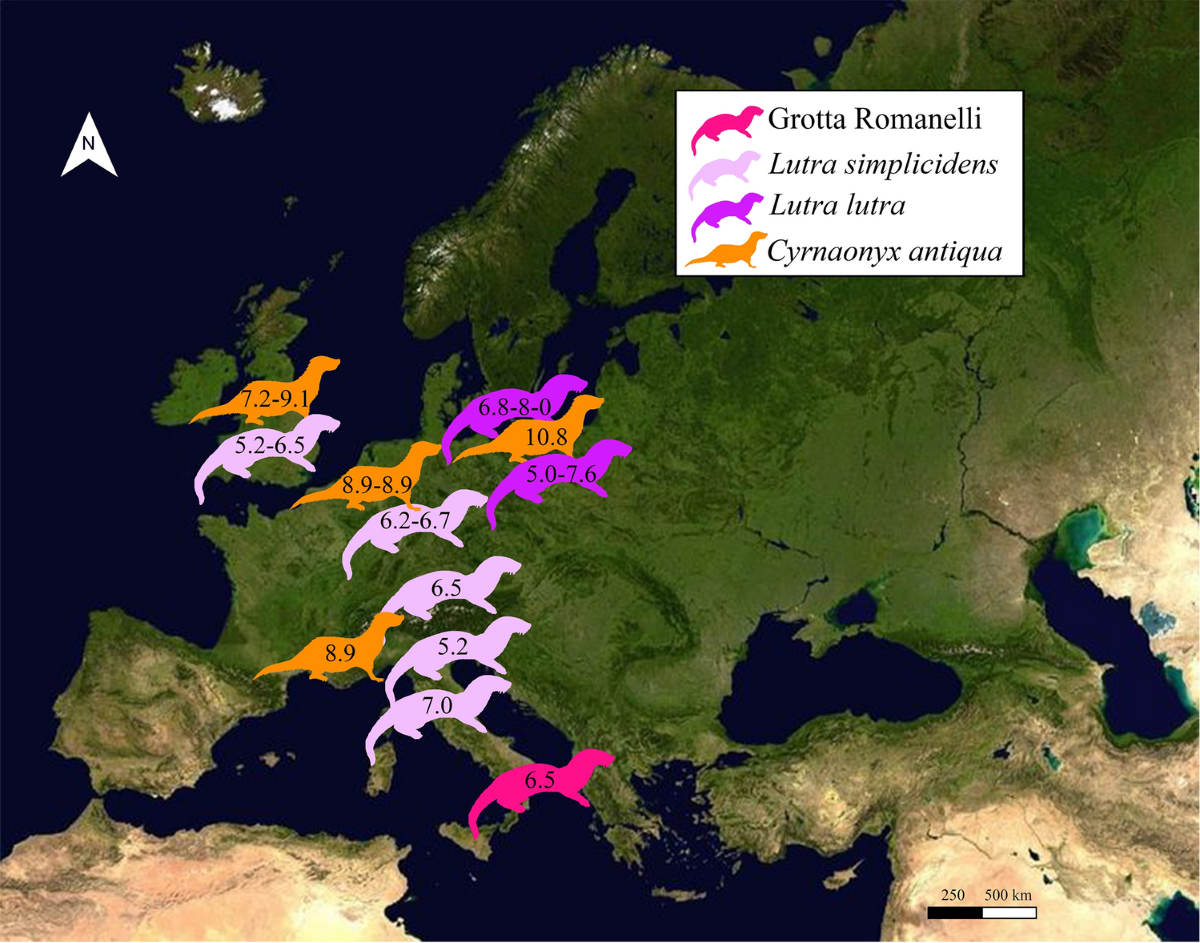 Frontiers | Spatial-Temporal Evolution of Extensional Faulting and Fluid  Circulation in the Amatrice Basin (Central Apennines, Italy) During the  Pleistocene, image size:1200x943