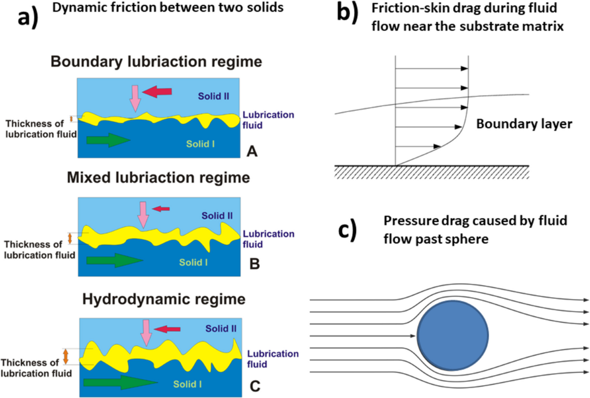 Friction in soft biological systems and surface self-organization: the role  of viscoelasticity | Biophysical Reviews, image size:1200x810