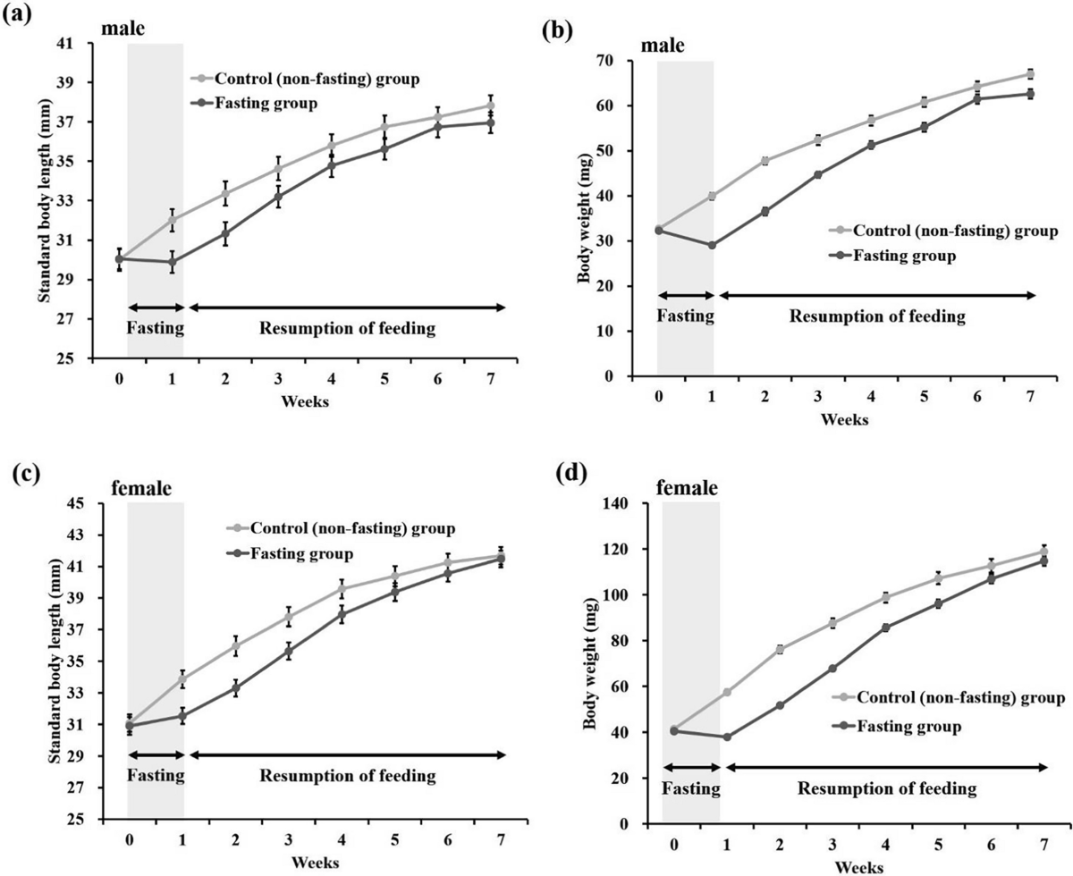 does fasting increase glutathione production naturally Growth-promoting effects and molecular mechanisms of and refeeding in zebrafish (Danio rerio) | Fisheries Science special-product