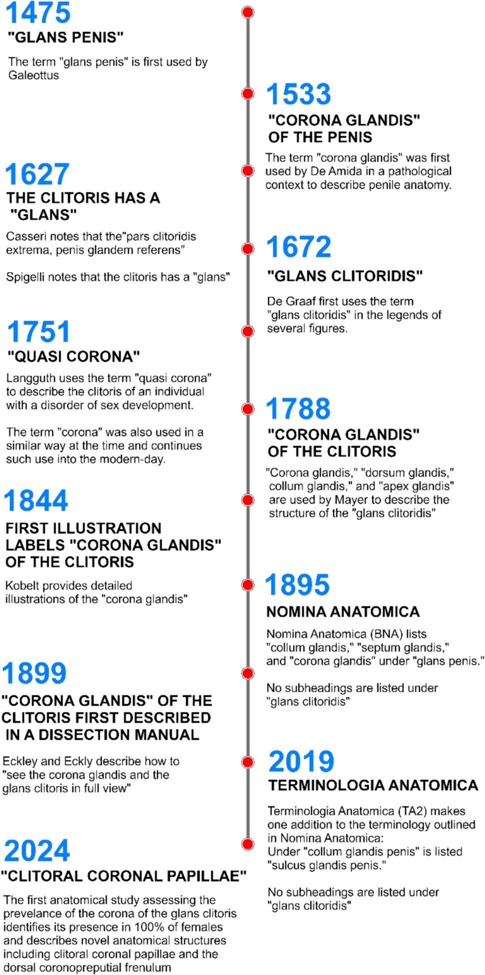 The coronation of the clitoris: formally introducing the corona of the  glans clitoris | Anatomical Science International