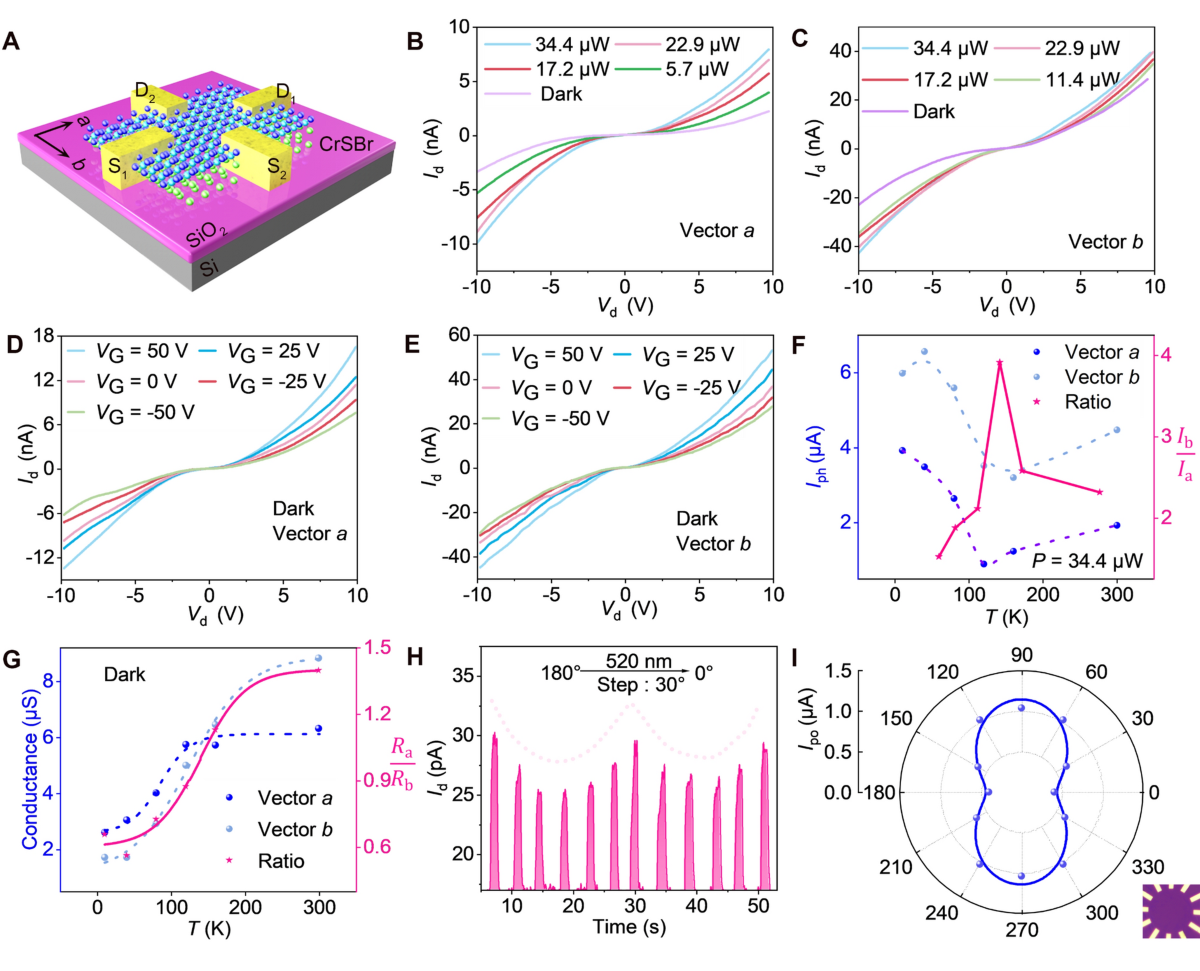 Anisotropy and synaptic plasticity in CrSBr/WSe2 heterojunction for  advanced neural network applications | Rare Metals