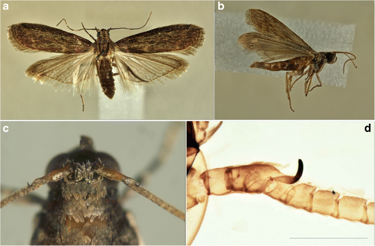 AquiLANA | ASTITCHMATISM, image size:1200x787