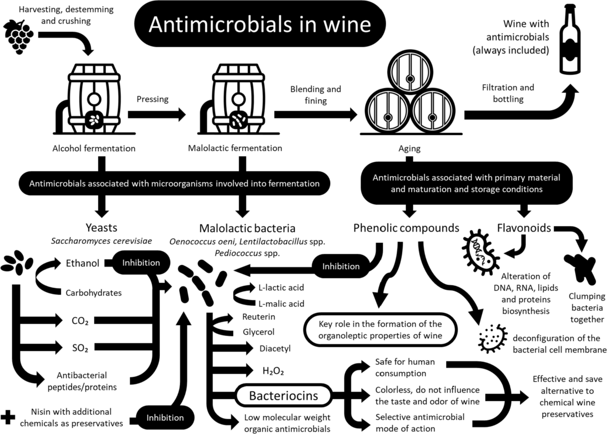 Collins Mic MM-1 RE コリンズ コリンズ（collins）MM-1 ハンドマイクロフォン