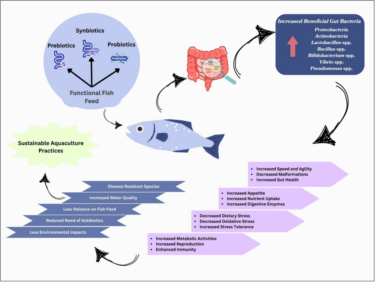 Feeding for Fish Health: Essential Tips for Vibrant Aquatic Life