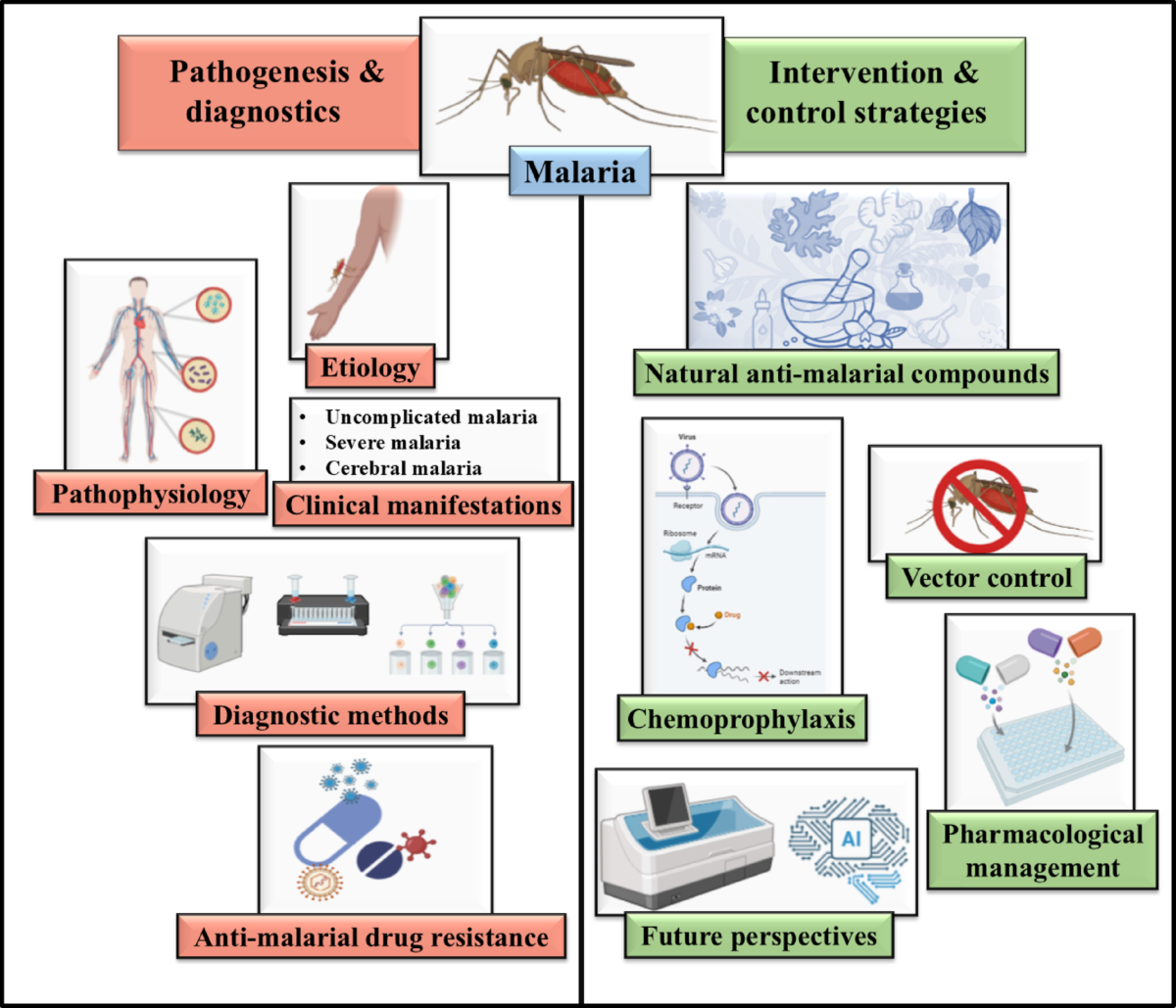 Multidimensional approaches to malaria control: from molecular mechanisms to public health interventions | Journal of Parasitic Diseases | Springer Nature Link Multidimensional approaches to malaria control: from molecular mechanisms to public health interventions | Journal of Parasitic Diseases | Springer Nature Link