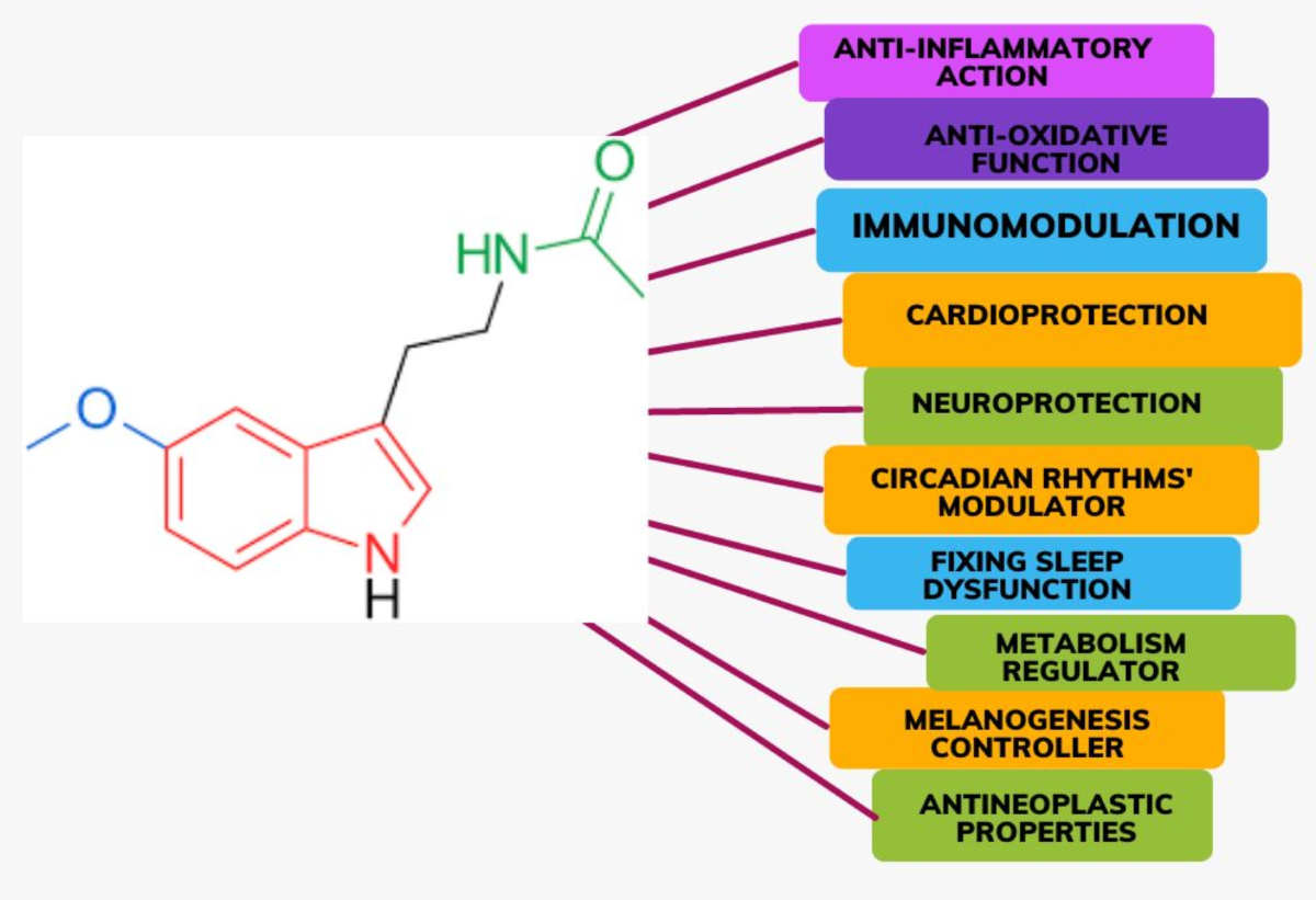 epithalon pinealon effects on sleep scientific studies Blunted Melatonin Circadian Rhythm in Parkinson's Disease: Express  Bewilderment | Neurotoxicity Research