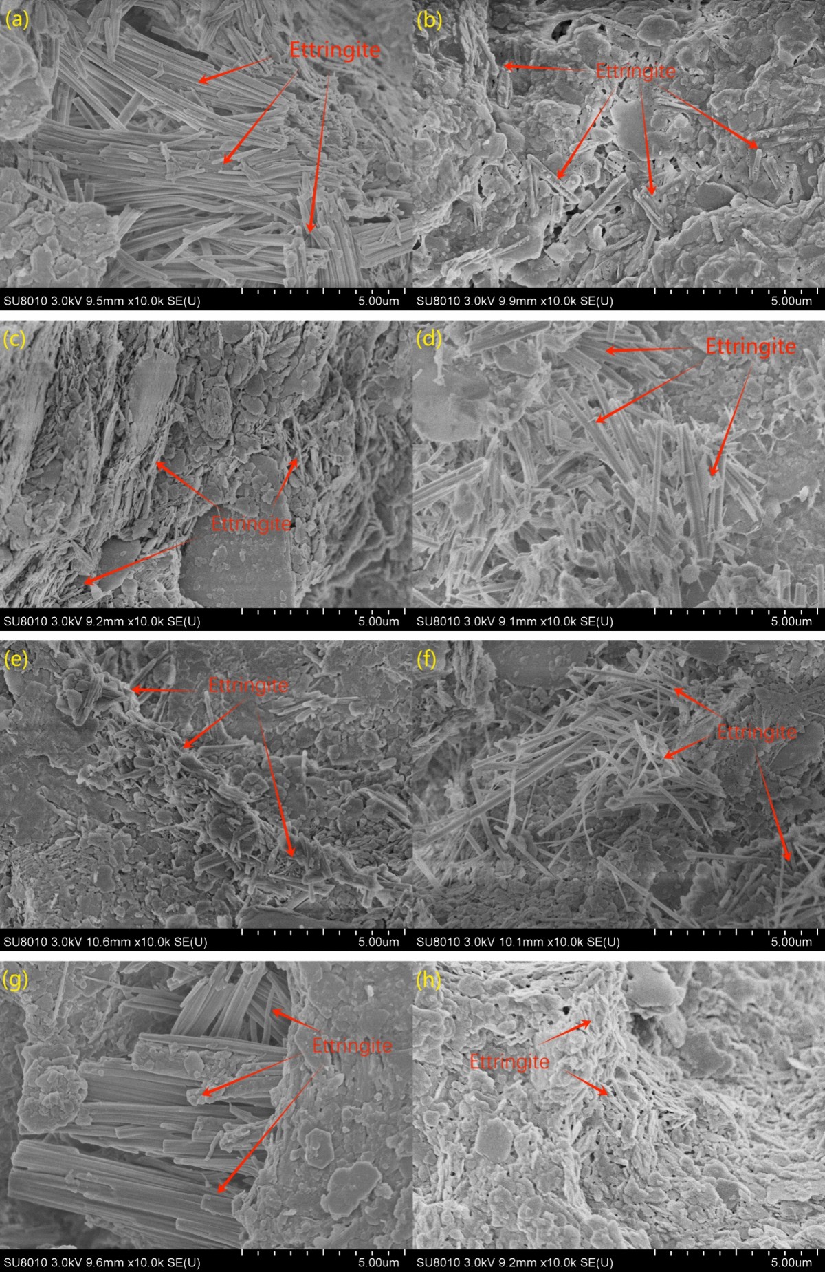 Effect of sulfate types on strength and swelling properties of  sulfate-bearing soils stabilized with cement | Environmental Earth Sciences