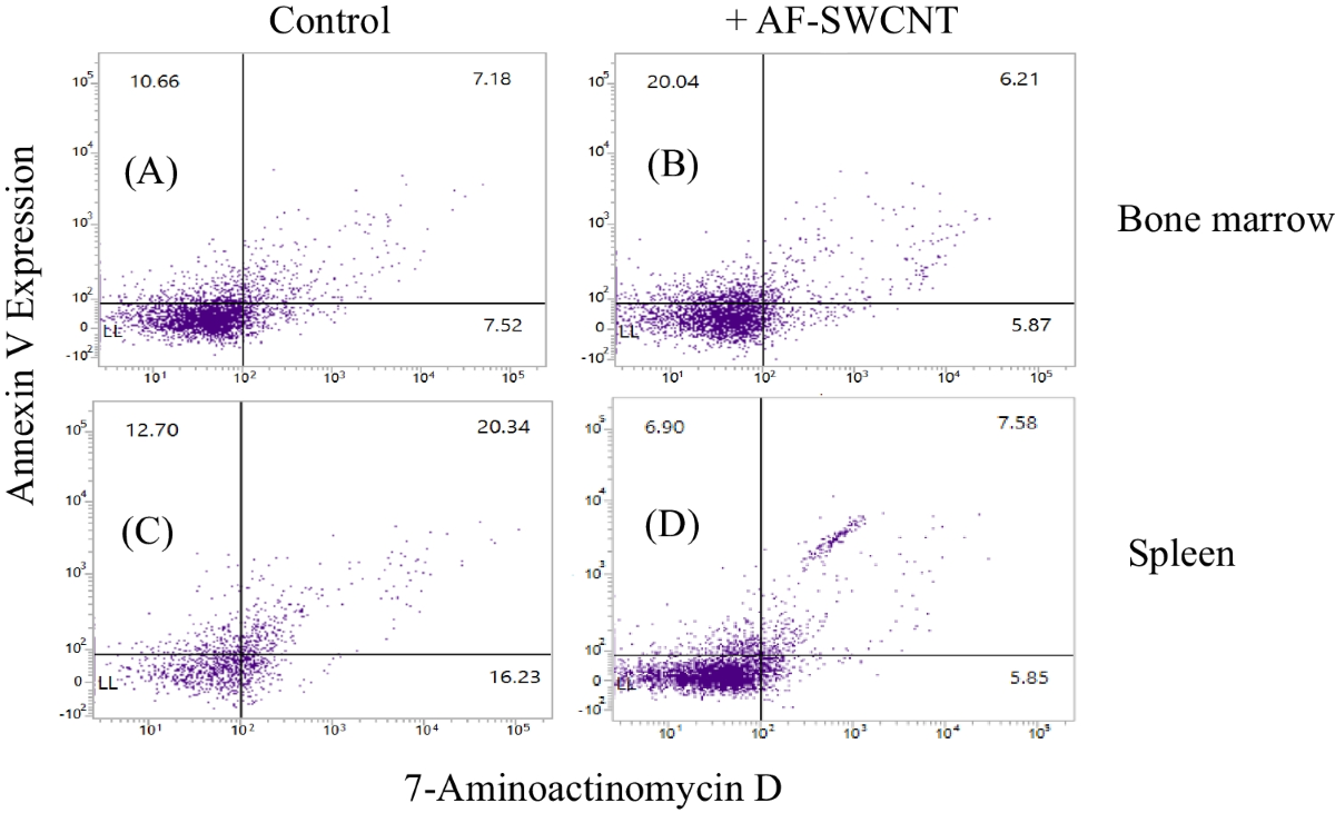 Polydispersed Acid-Functionalized Single-Walled Carbon Nanotubes Induced  the Integrin-Associated Protein (CD47) and Basigin (CD147) Expression and  Modulated the Antioxidant Gene Expression in Erythroid Cells in Mice |  BioNanoScience