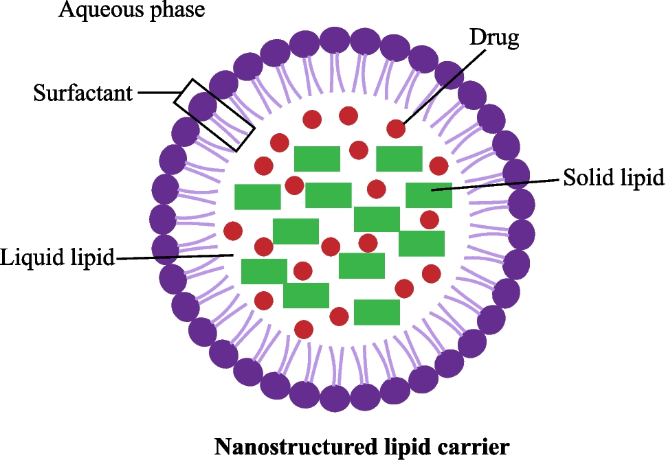 https://media.springernature.com/lw1200/springer-static/image/art%3A10.1007%2Fs12668-024-01416-x/MediaObjects/12668_2024_1416_Fig1_HTML.png