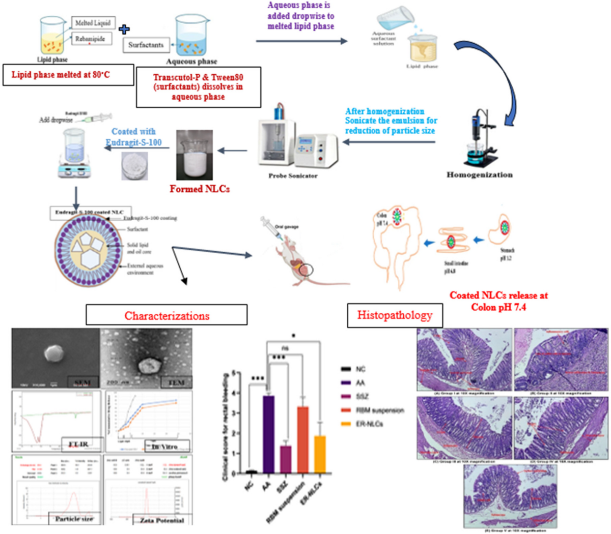 Colon-Targeted Eudragit-S-100 Coated Nanostructured Lipid Carriers for  Enhanced Rebamipide Delivery in Ulcerative Colitis | BioNanoScience |  Springer Nature Link