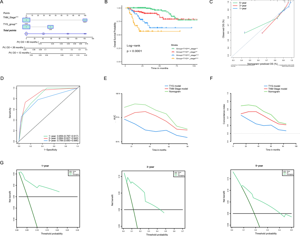Triglyceride-glucose index predicts postoperative overall survival  