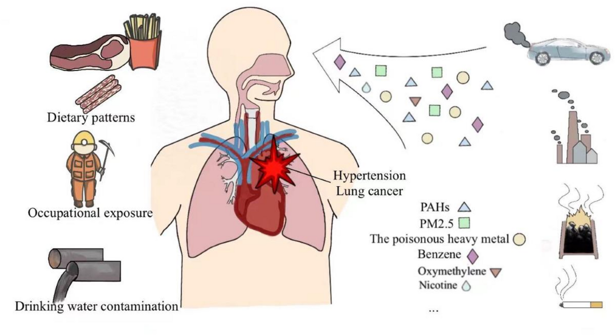 bpc 157 leaky gut reddit BPC 157 Benefits: Heal & Thrive in 2025