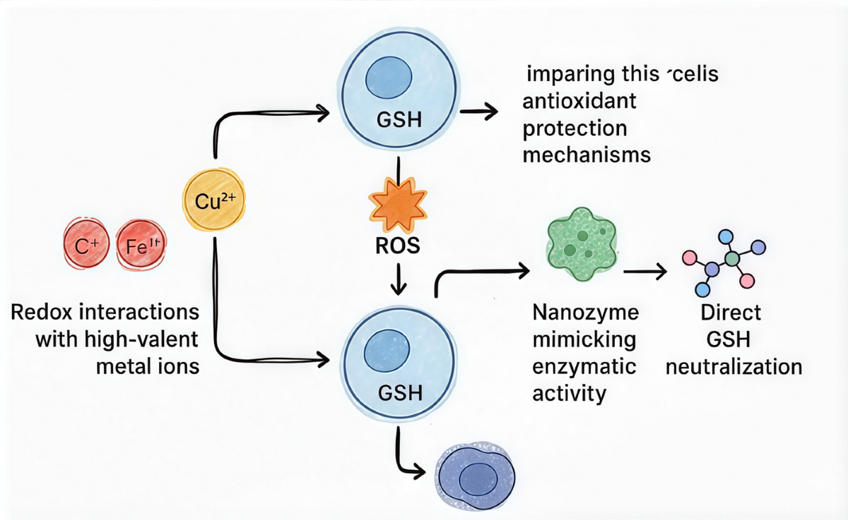 Glutathione responsive nanomedicine leverages tumor redox imbalance for  targeted cancer theranostics | Discover Oncology