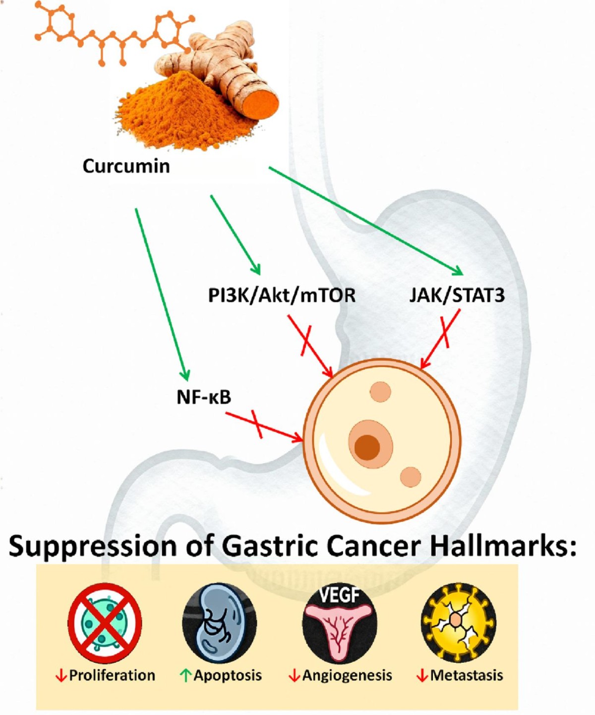 inhibition of human glutathione s transferases by curcumin and analogues Full article: S-transferases The inhibition of human glutathione