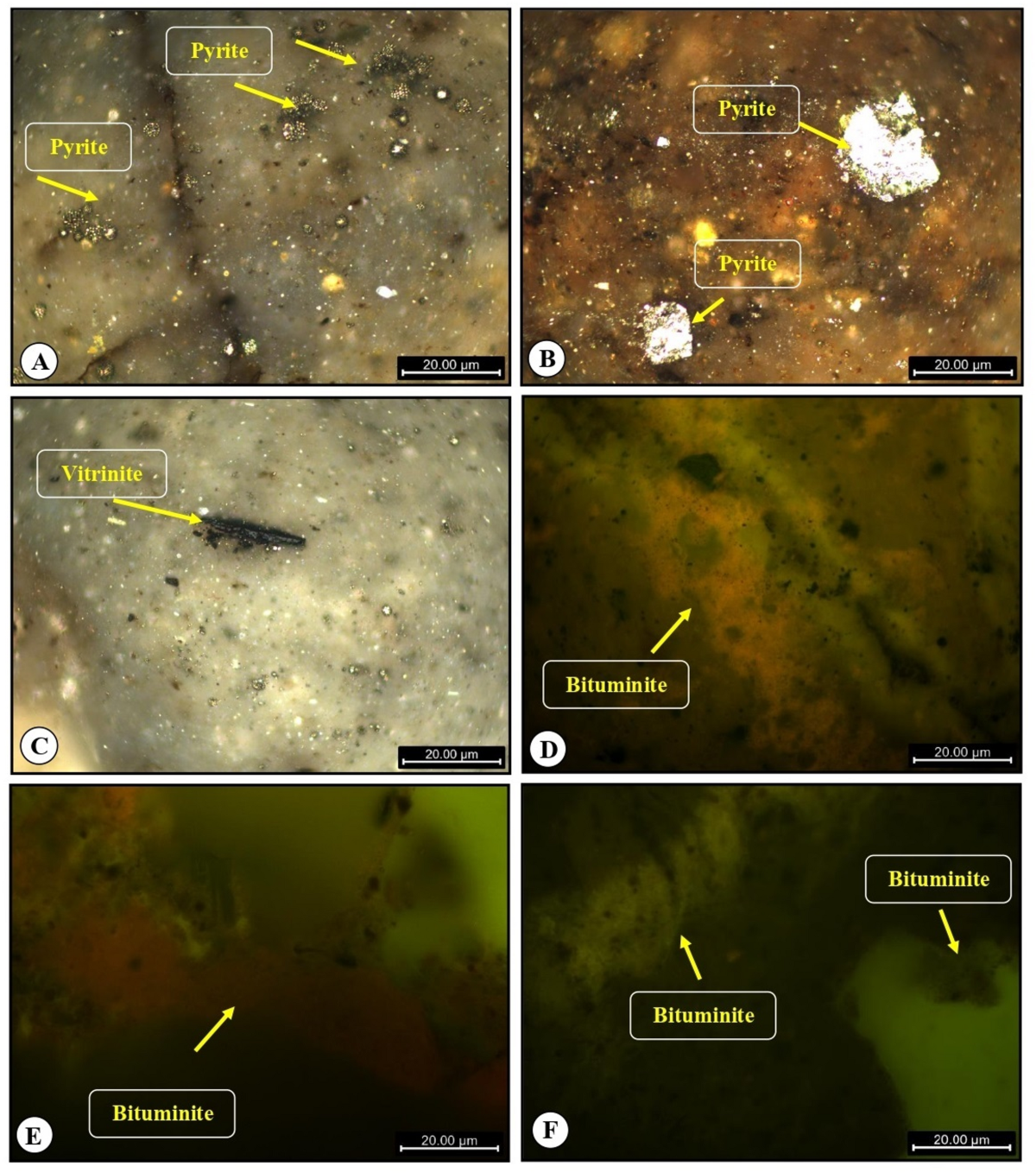 SCP-424 - SCP Sandbox Wiki II, image size:1200x1358