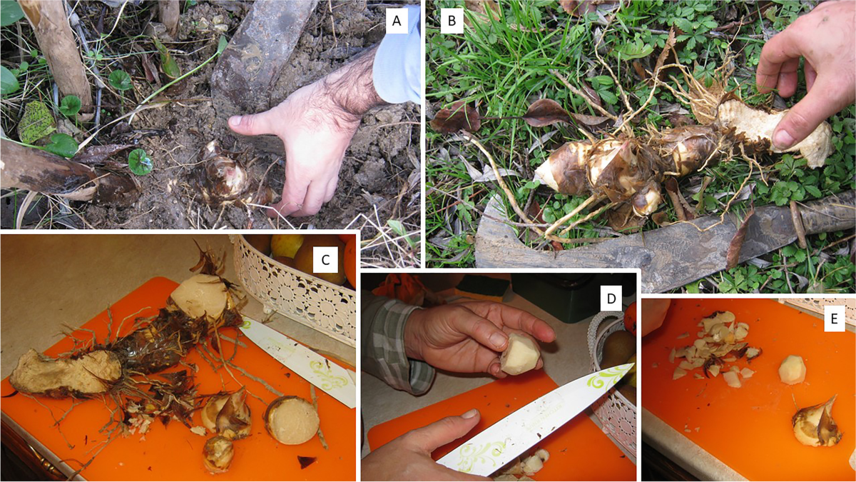 Reasons to Plan a Trip to Abruzzo - Travel Dudes, image size:1200x675