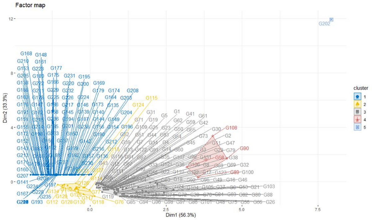 Prospecting true ScYLV resistance in Saccharum hybrid parental population in  India by symptom phenotyping and viral titre quantification | 3 Biotech