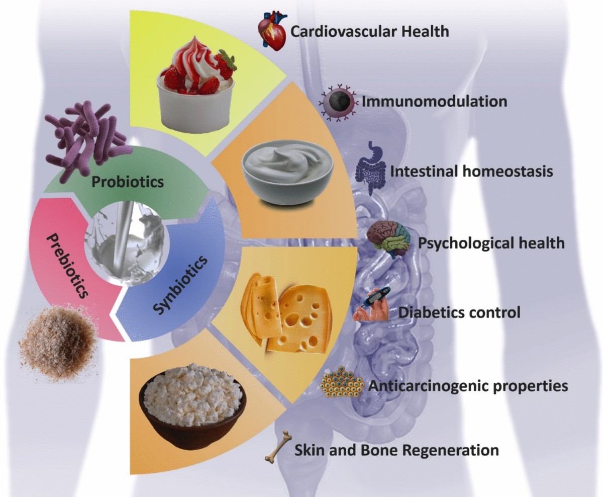 Align Probiotic, Probiotics For Women And Men, Daily Probiotic Supplement For Digestive Health*, #1 Recommended Probiotic By Doctors And Gastroenterologists, 49 Capsules