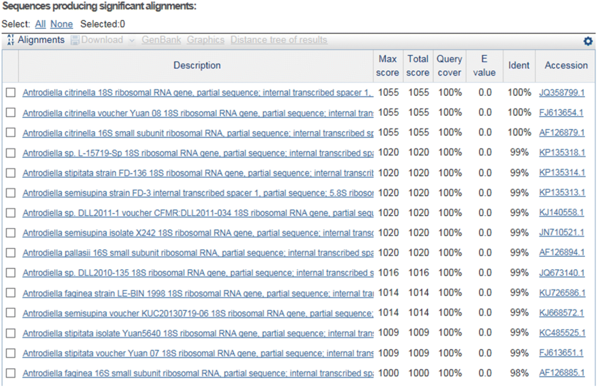The unbearable lightness of sequenced-based identification | Fungal  Diversity