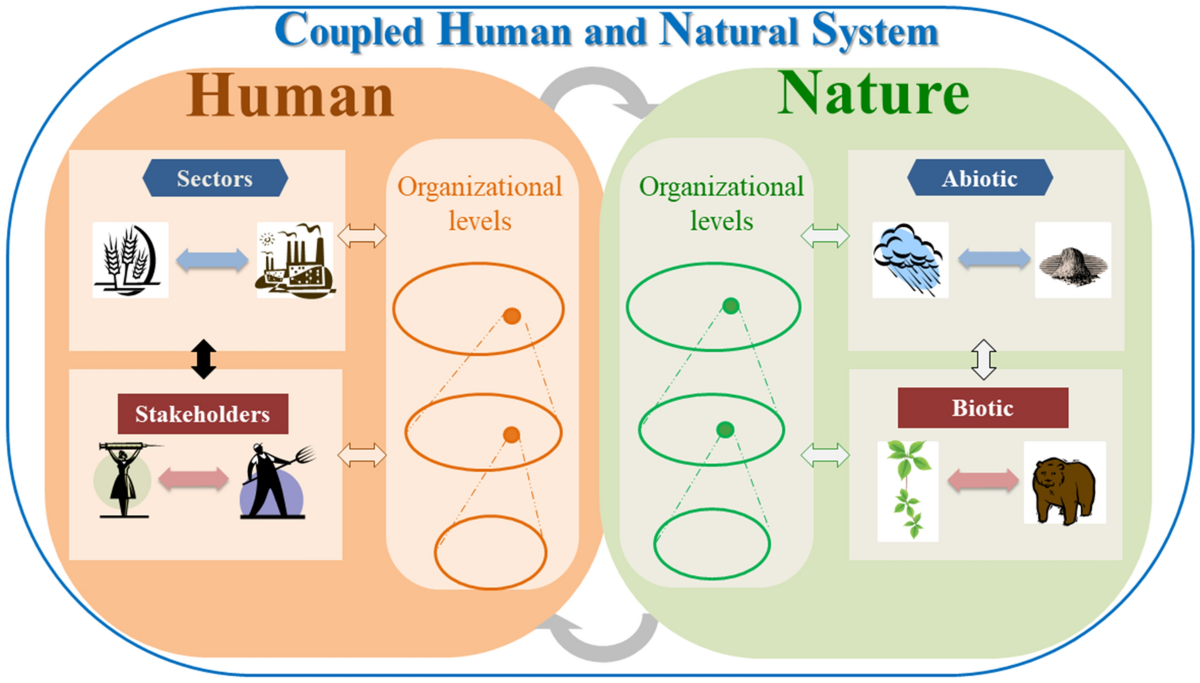 Coupled human and natural systems: The evolution and applications of an  integrated framework | Ambio