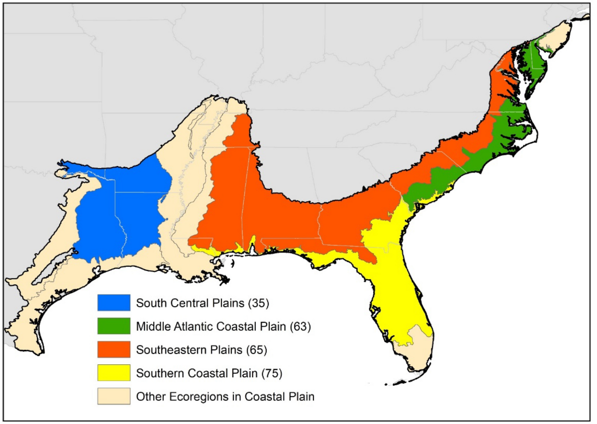 Conservation of blackwater rivers and streams of the coastal plains of  United States: Knowledge and research needs | Ambio, image size:1200x853