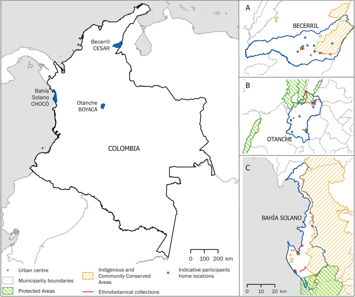 Bridging local and scientific knowledge for area-based conservation of  useful plants in Colombia | Ambio | Springer Nature Link