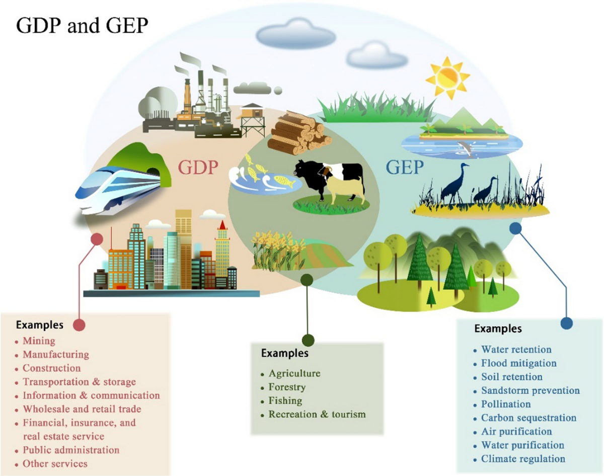 Gross ecosystem product (GEP): Quantifying nature for environmental and  economic policy innovation | Ambio