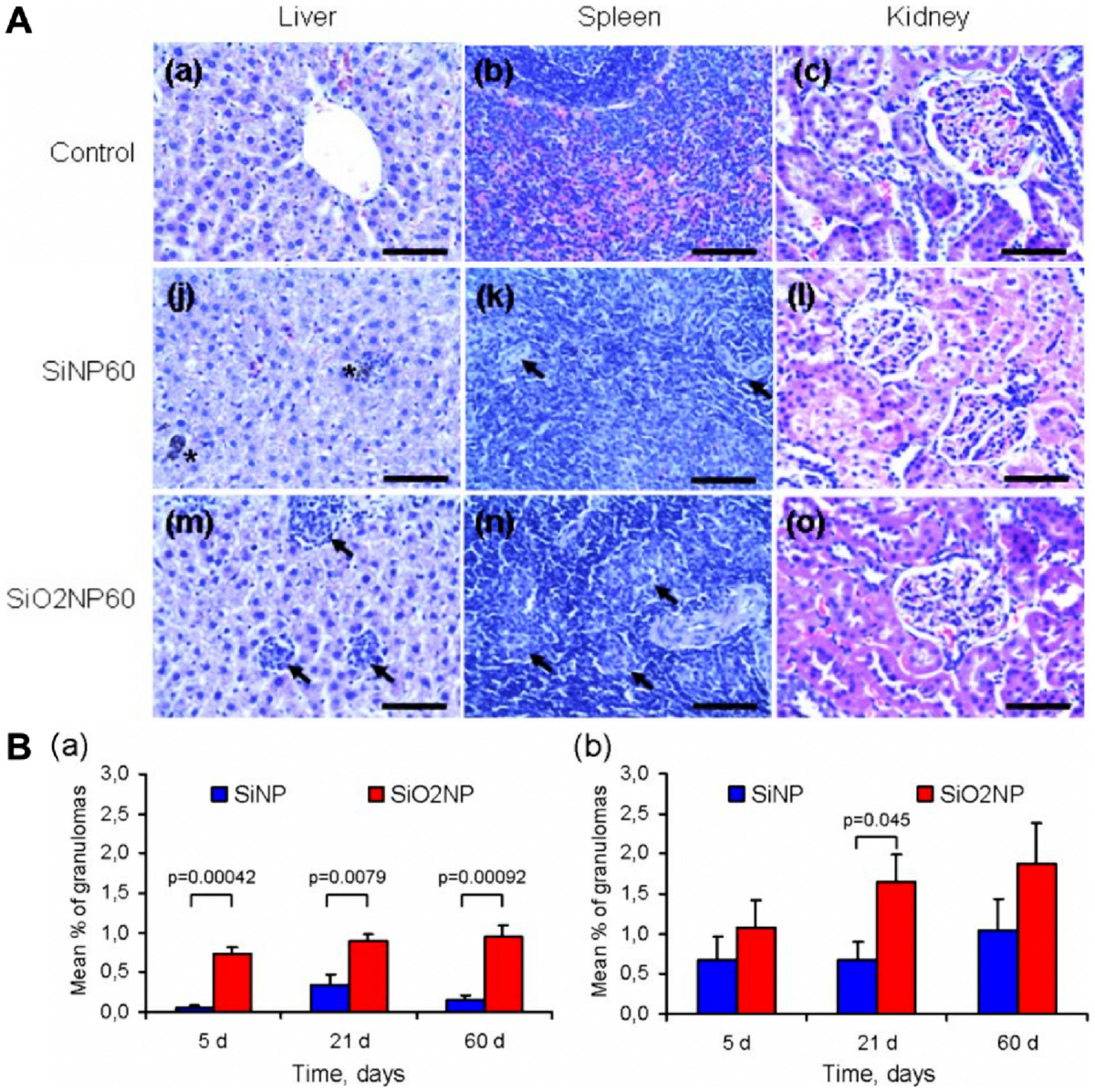 Porous silicon and silica carriers for delivery of peptide therapeutics |  Drug Delivery and Translational Research