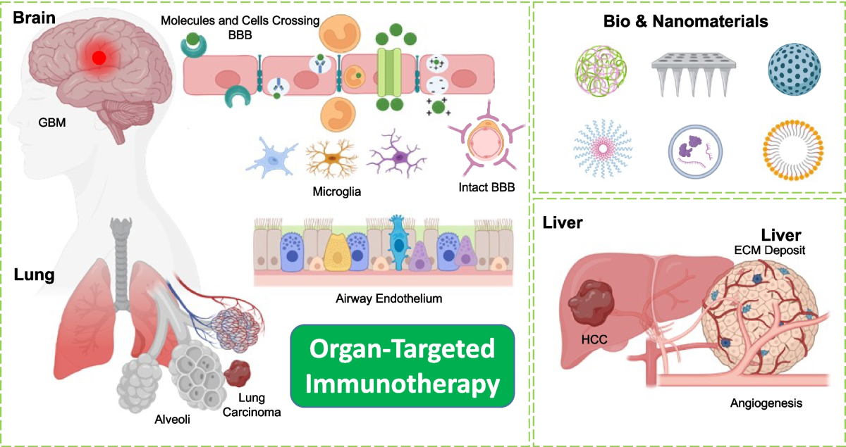 igf 1 lr3 and ipamorelin how to mix igf-1 lr3 with bacteriostatic water CJC-1295 (no DAC) +  Ipamorelin (Blend)