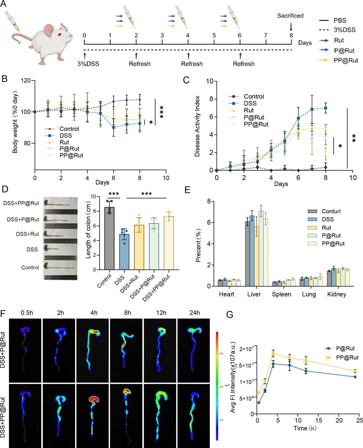 Bionic platelet membrane-coated rutin nanoparticles attenuate ulcerative  colitis by suppressing platelet-mediated macrophage inflammation | Drug  Delivery and Translational Research