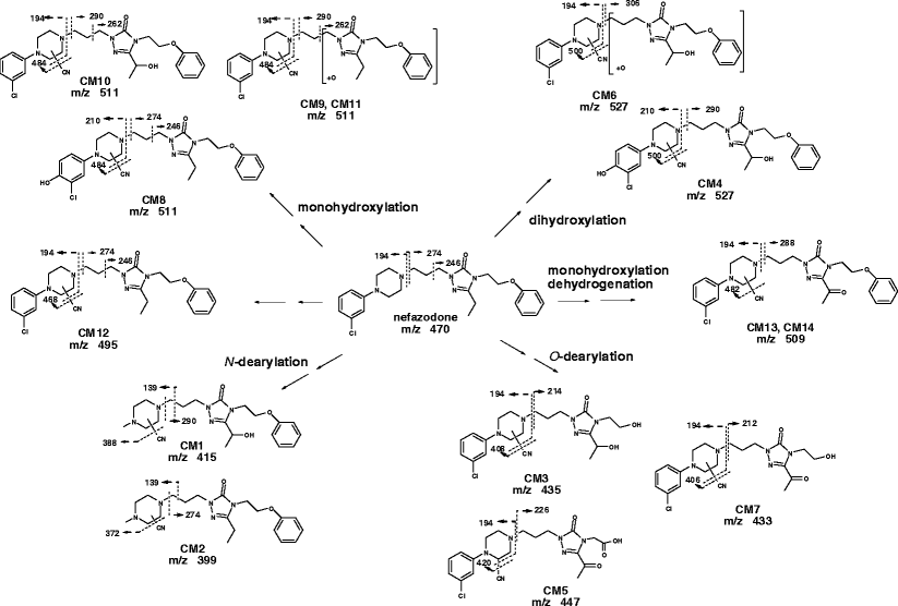 glutathione adduct Simultaneous Screening of Glutathione and Cyanide Adducts Using Precursor  Ion and Neutral Loss Scans-Dependent Product Ion Spectral Acquisition and  Data Mining Tools
