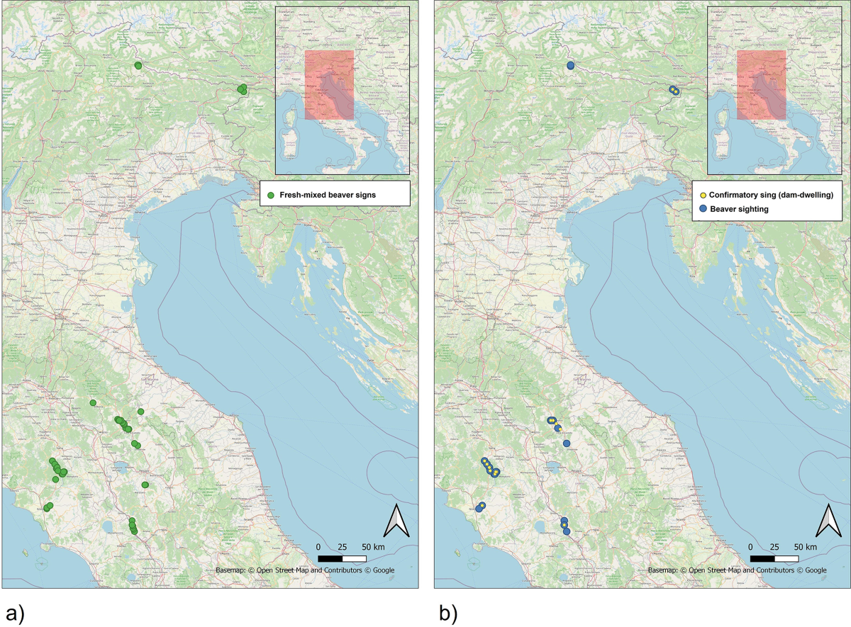 L'Italia al fronte del caos - Limes, image size:1200x885