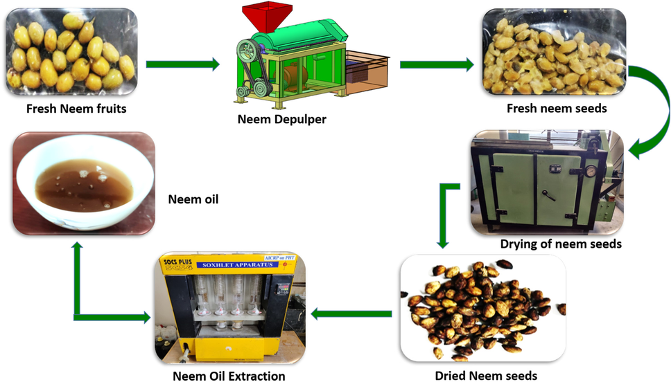 जैविक खेती क्या है? Step by Step पूरी जानकारी 11 Image