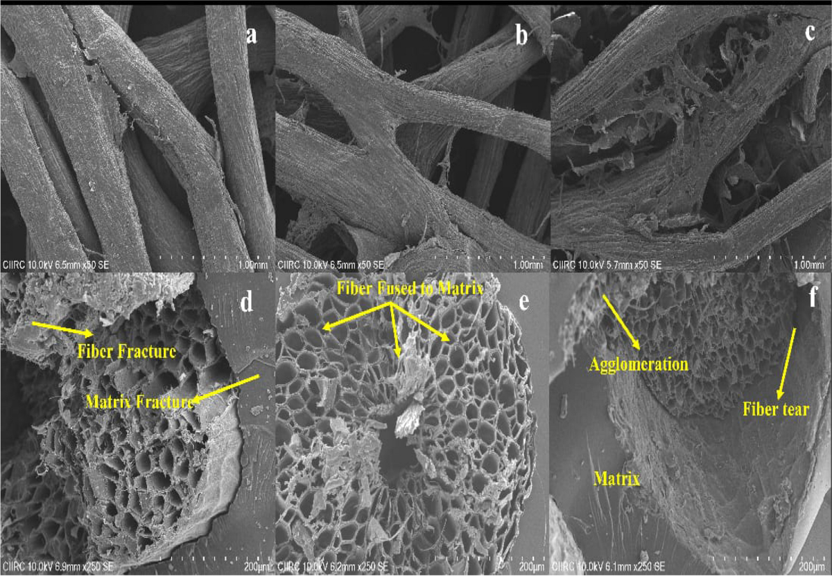 Fabrication of raw and chemically treated biodegradable Luffa aegyptica  fruit fibre-based hybrid epoxy composite: a mechanical and morphological  investigation | Biomass Conversion and Biorefinery