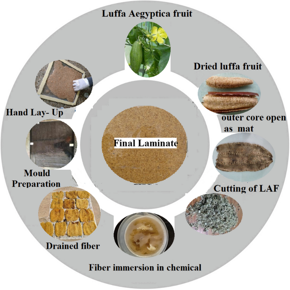 Fabrication of raw and chemically treated biodegradable Luffa aegyptica  fruit fibre-based hybrid epoxy composite: a mechanical and morphological  investigation | Biomass Conversion and Biorefinery