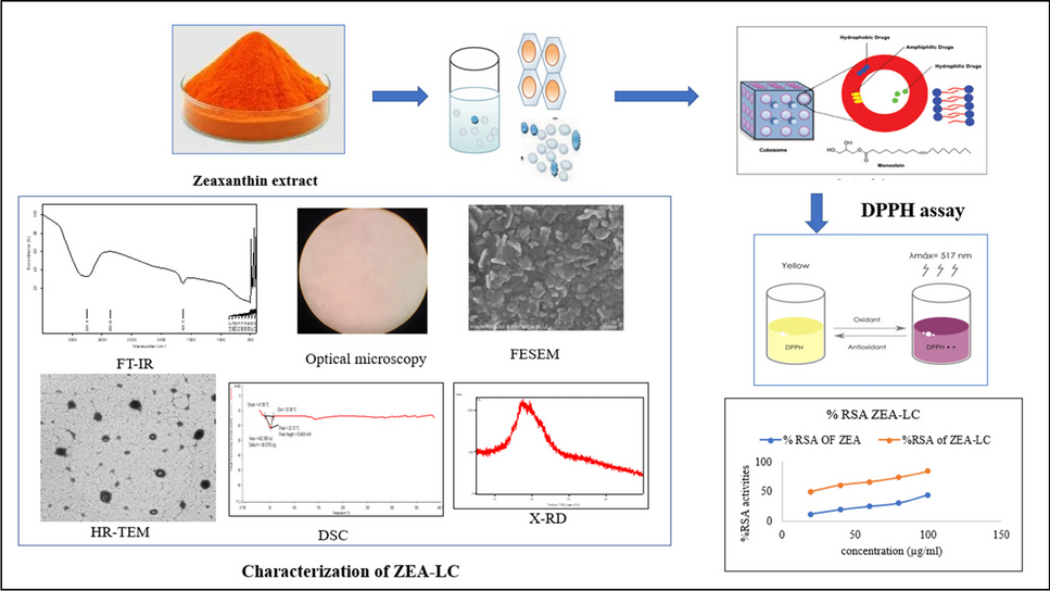 dihexa chemical properties solubility stability formulation Lipidic cubic phase zeaxanthin-loaded cubosomes: formulation, characterization and evaluation for antioxidant potential through DPPH assay | Biomass Conversion and Biorefinery benefits of peptide bpc 2000-3000 Size:30 Servings