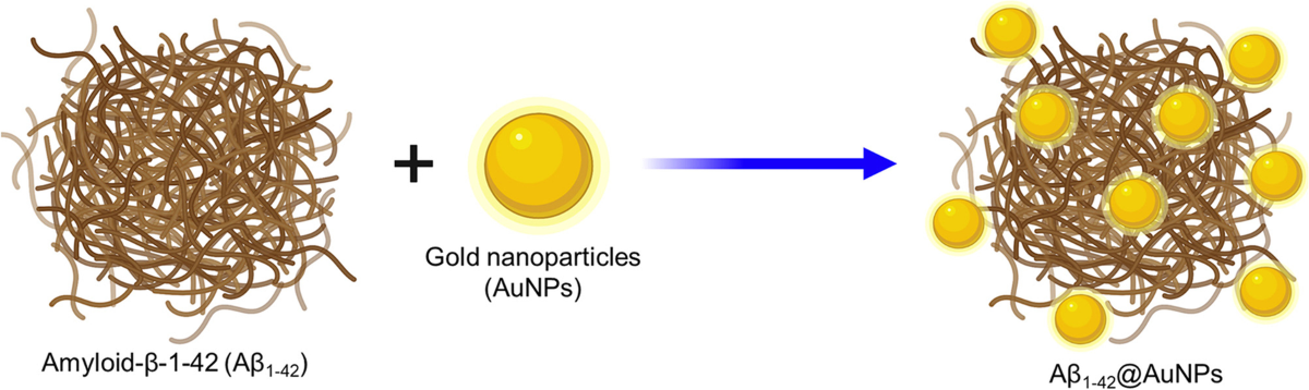 Gold Nanoclusters Inhibit Alzheimer's Plaque Formation