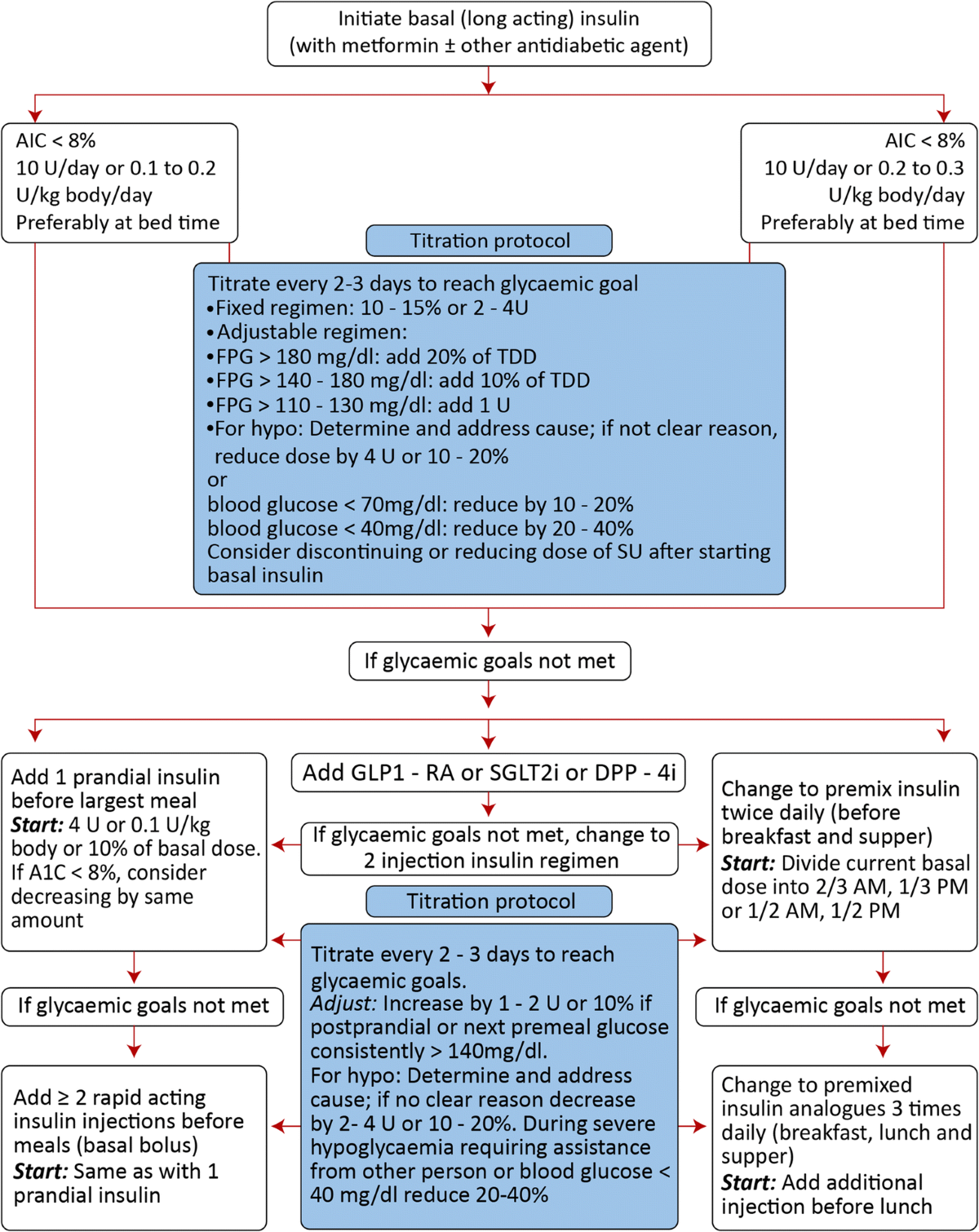 RSSDI consensus recommendations on insulin therapy in the management of  diabetes | International Journal of Diabetes in Developing Countries |  Springer Nature Link