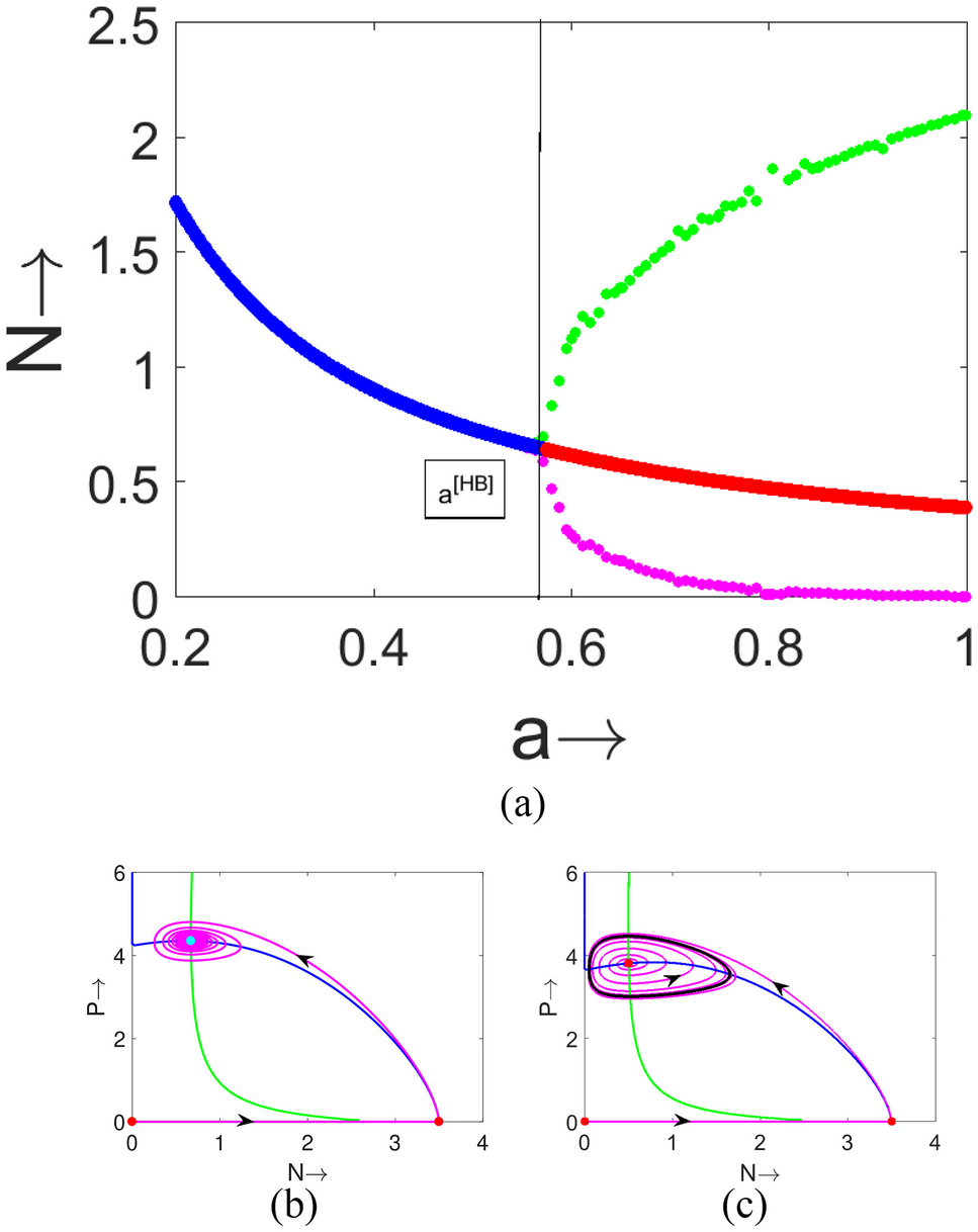 Dynamic Interplay: Cooperative Hunting Strategies in a Predator-Prey Model  with Smith Growth Dynamics | Brazilian Journal of Physics